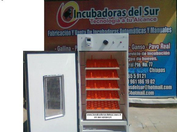 incubadora  para 324 huevos volteo  automatico