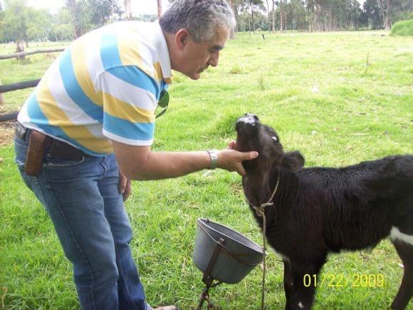 fotos