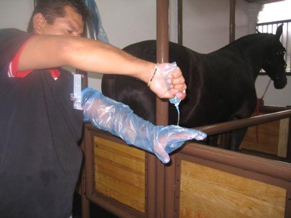 Lubricando con gel estéril