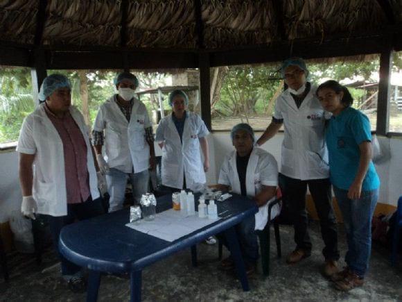 embriones e inseminacion