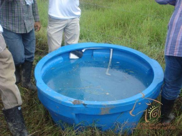 Capacitación a ganaderos en Pastoreo Racional Voisin (PRV) - Montería, diciembre de 2010