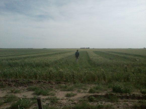 Recorrida por campos de la región secano y de riego