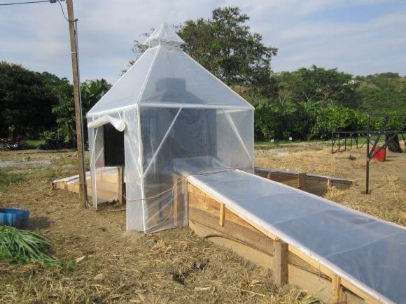 Secador solar.