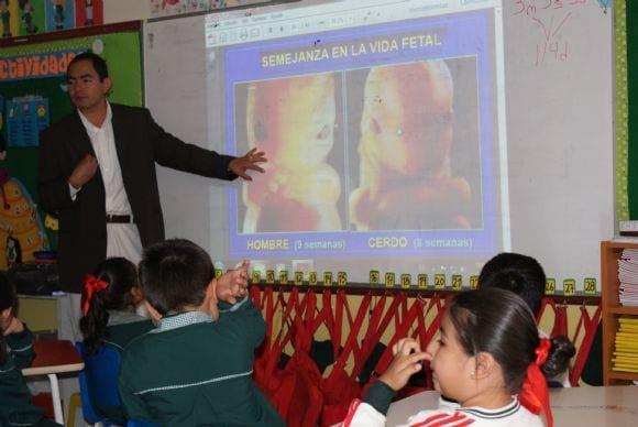 Capacitación en niños en Porcicultura