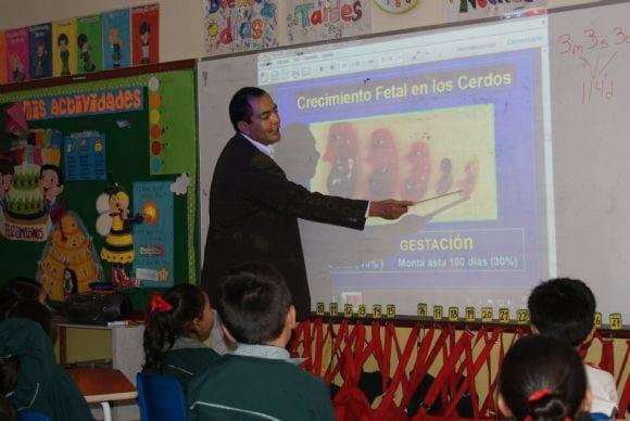 Crecimiento embrionario del cerdo