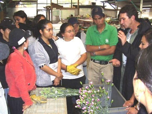 Capacitación al personal involucrado en la agricultura