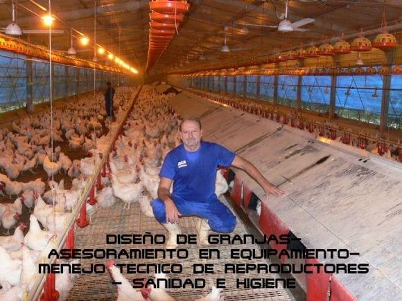presentacion
