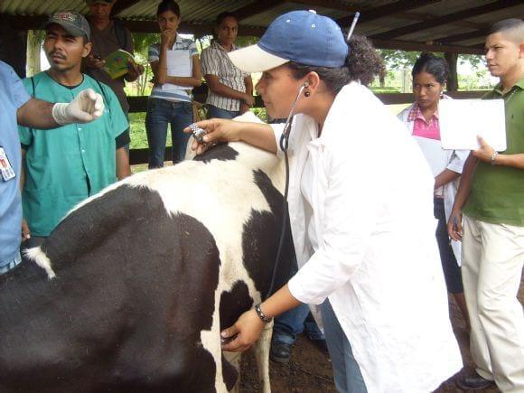 PRACTICA DE CAMPO