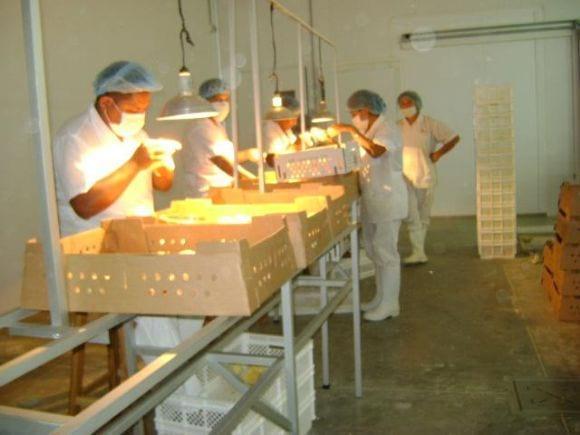 mi trabajo