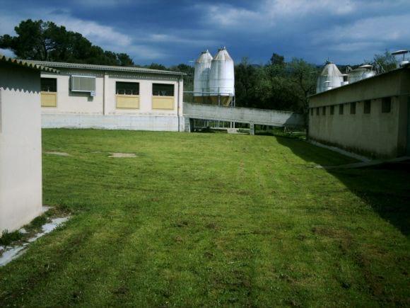 Las granjas no tienen porque ser sucias y desordenadas