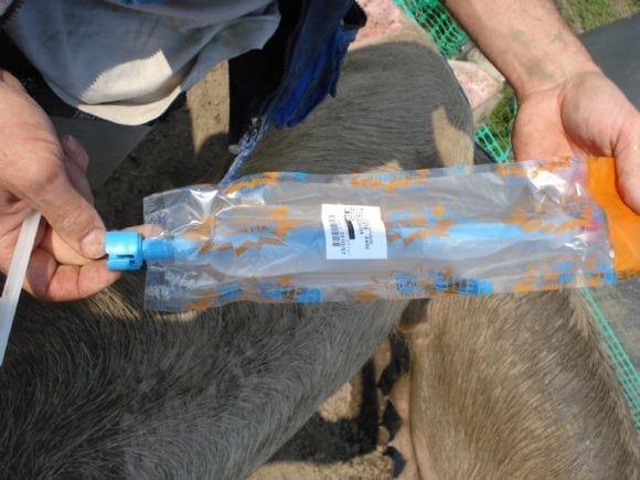 Una dosis de semen incorporada dentro del cateter