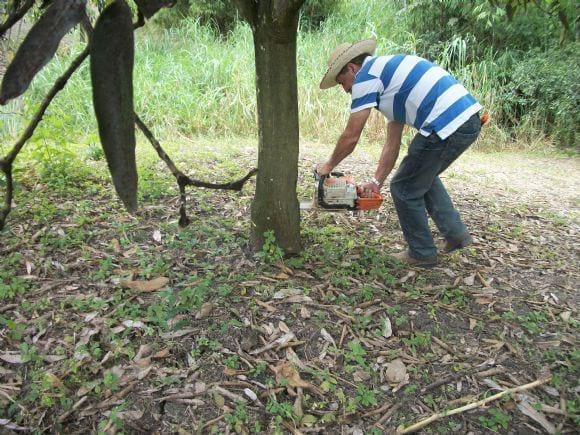 ANILLADO EN MANGO