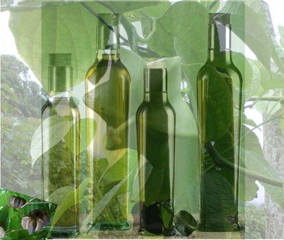 Aceite extravirgen de Sacha Inchi (Plukenetia Volubilis)