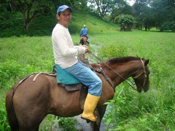 FORESTACIÓN EN ECUADOR