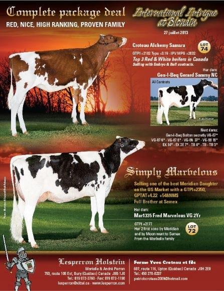 LESPERRON&BETANCOURT HOLSTEIN