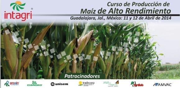 Curso Maíz de alto rendimiento