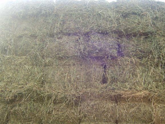 fardos retirados del campo
