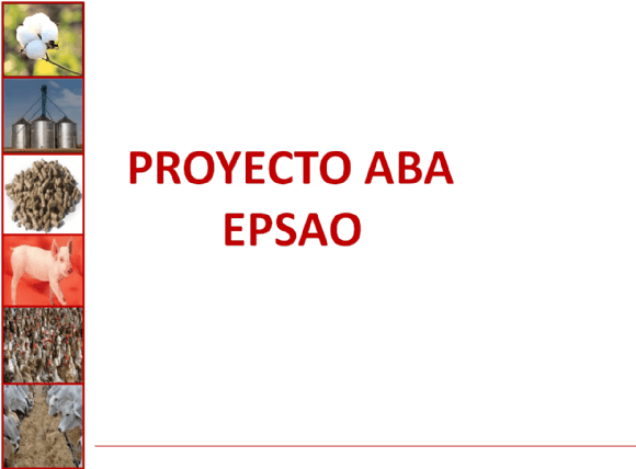 PROYECTO ABA