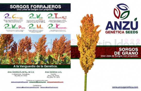ANZU GENETICA