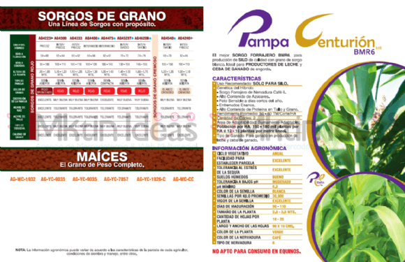 SORGOS FORRAJEROS