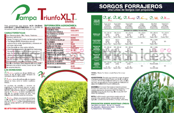 SORGOS FORRAJEROS