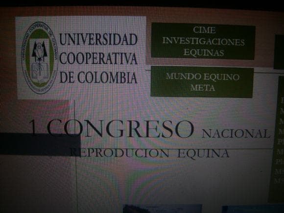 Invitaciòn  a 1  Congreso  de Reproducciòn Equina