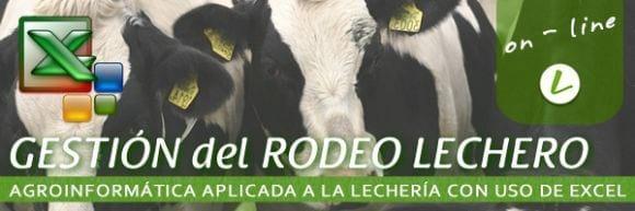 Cursos FEPALE