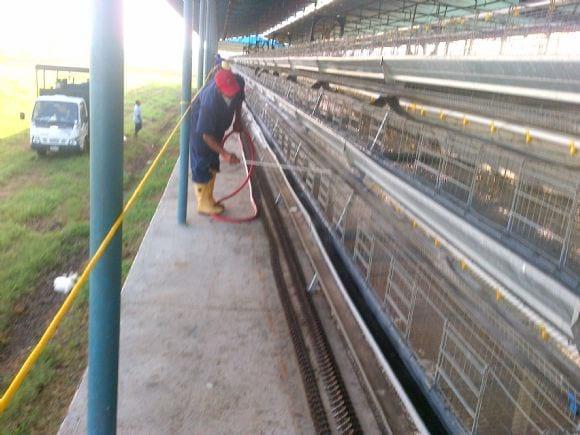 Paso 3. Enjuague para retirar por arrastre el detergente con el sucio atrapado en él.