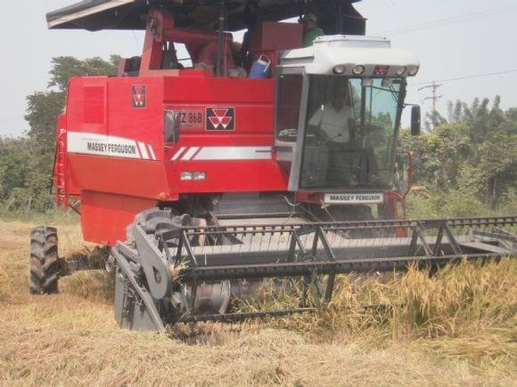 cosechadora de arroz MF 5650