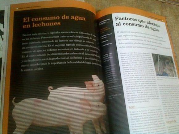 El consumo de agua en lechones