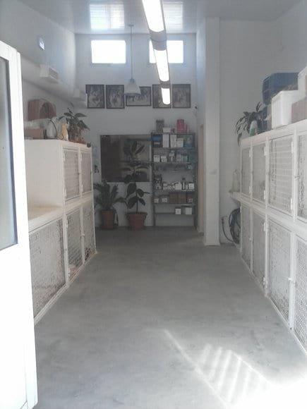 sala de internacion general