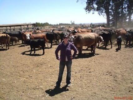 Selección toros
