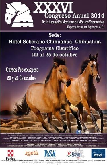 XXXVI Congreso 2014