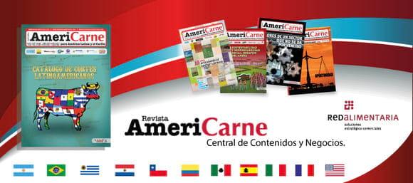 Revista Americarne