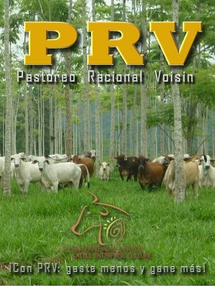 Portada Infografía PRV 2014