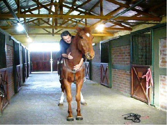 Amansamiento Natural
