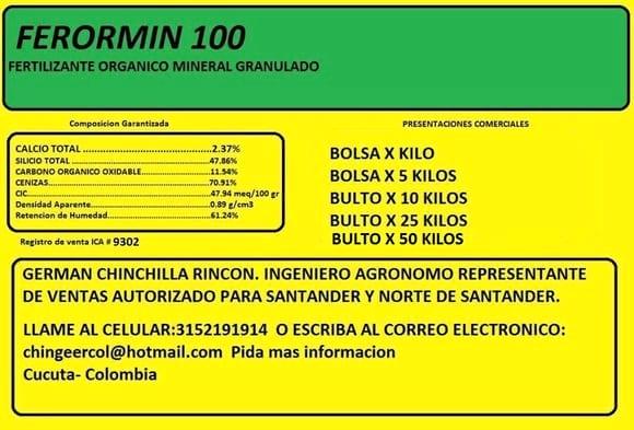 FERORMIN 100