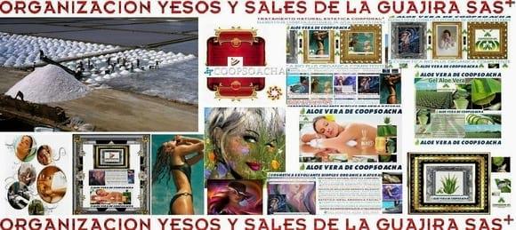 YESOS Y SALES DE LA GUAJIRA