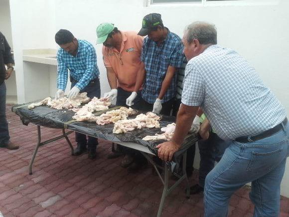 practica individual