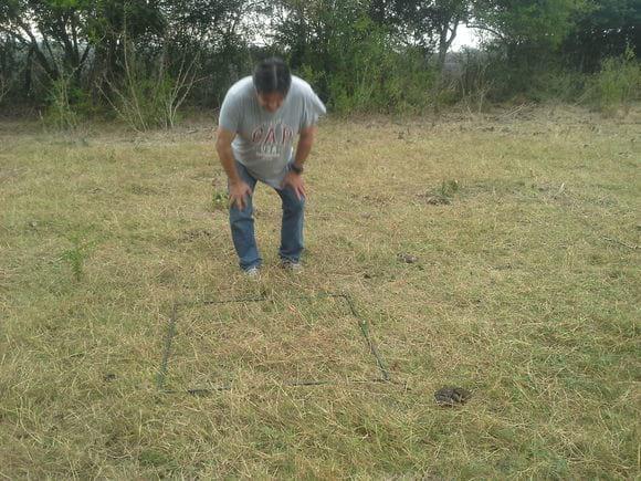 evaluación de agostadero carga animal