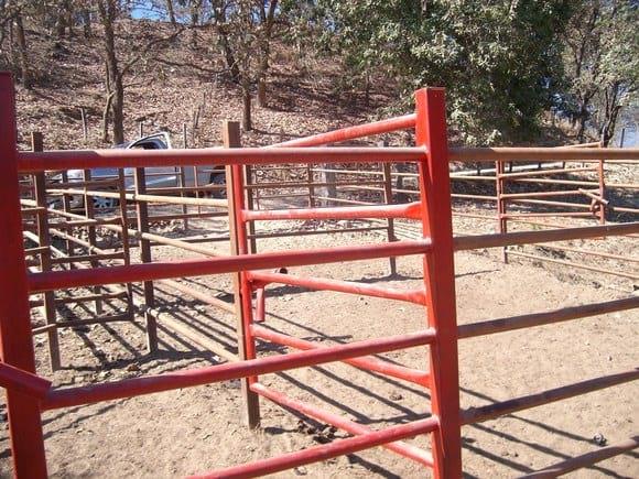 MIS CORRALES DE MANEJO OVINO