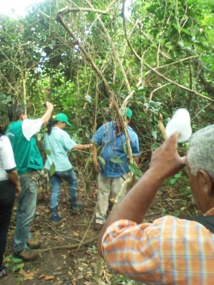 practica de Ambiente