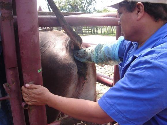 rancho el carmen