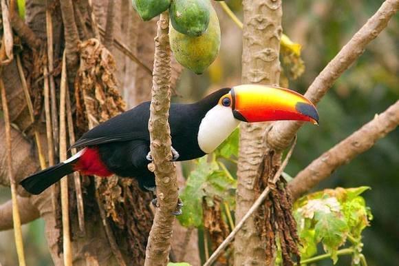 La Naturaleza