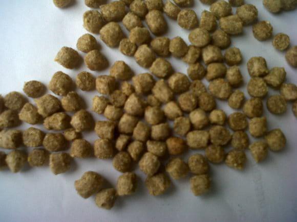 Alimento para peces