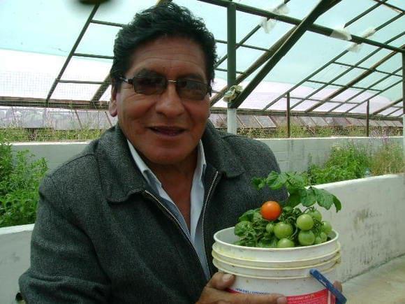 Aqui le estoy mostrando una maceta con tomates Cherry , que preciosidad verdad, visitemos a l invernadero de la Fac. de Agronomia UNCP Carretera central  margen derecha Km 34 Distrito de el Mantaro- Jauja.