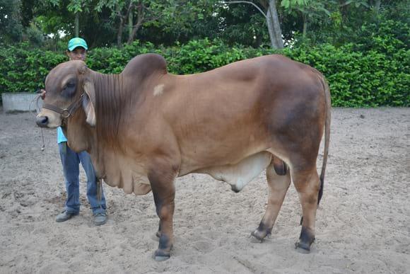 FINCA EL EDEN