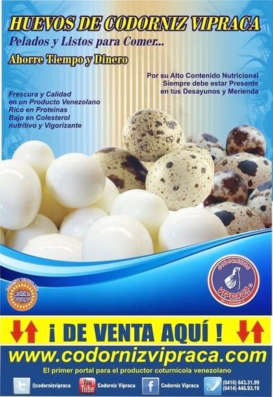 Huevos pelados de codorniz