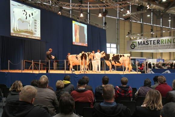 TopTierTreff en EuroTier 2012, el evento de reses empleadas para la descendencia