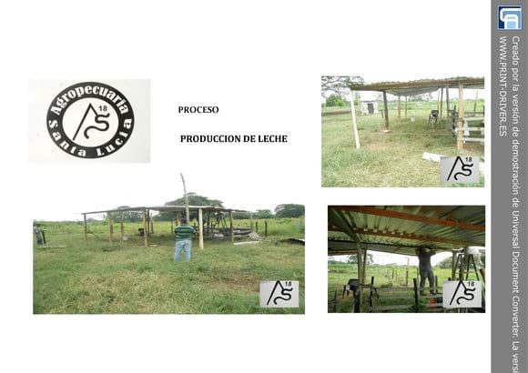 ASESORIA
